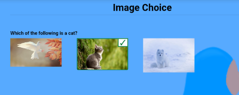 image-multiple-choice-question