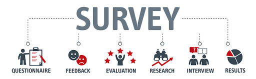 survey-questionnaire-process