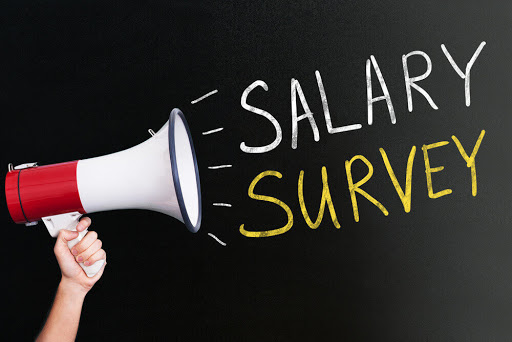 what-is-salary-survey