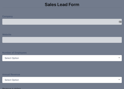 Sales Lead Form